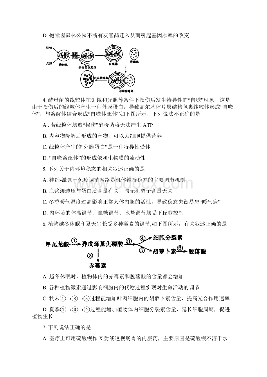 理综16.docx_第2页