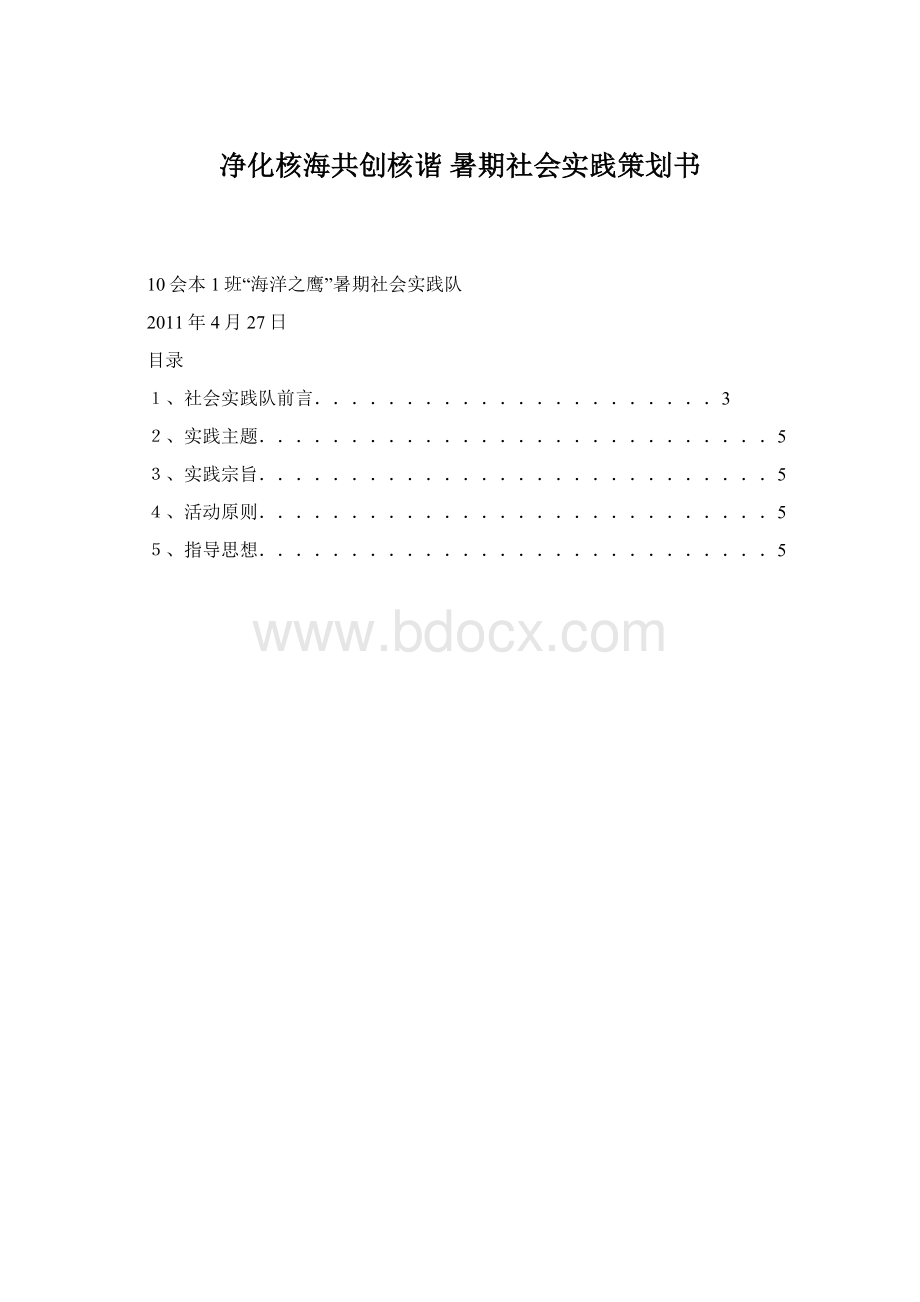 净化核海共创核谐 暑期社会实践策划书Word下载.docx