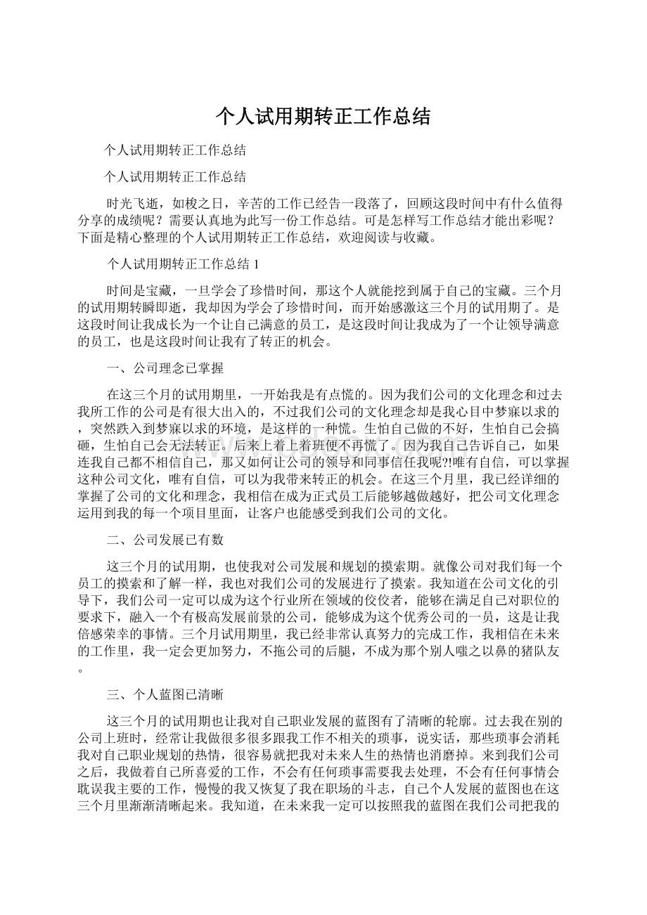 个人试用期转正工作总结Word文档格式.docx