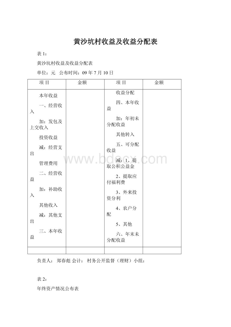 黄沙坑村收益及收益分配表Word文档下载推荐.docx