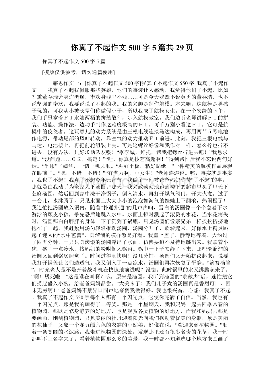 你真了不起作文500字5篇共29页.docx_第1页