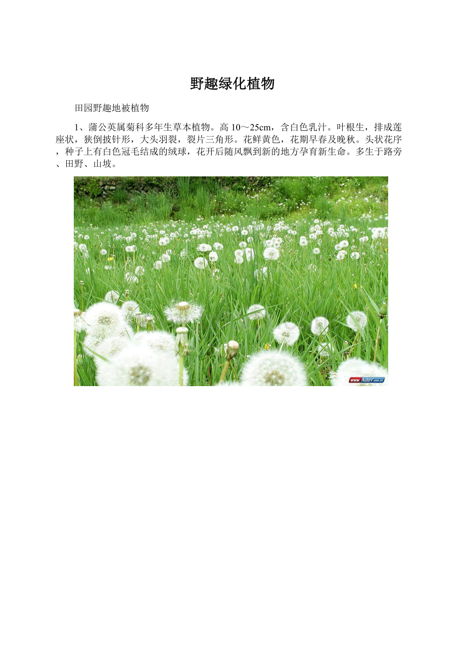 野趣绿化植物.docx