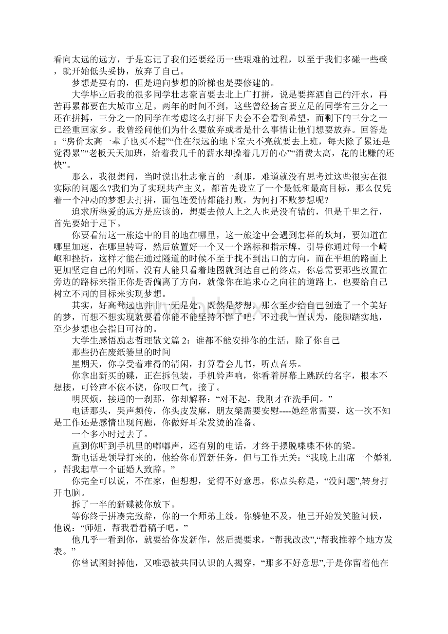 大学生感悟励志哲理散文Word格式文档下载.docx_第2页