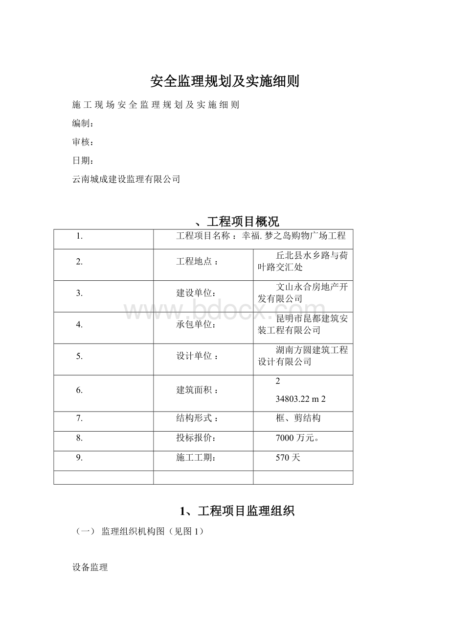 安全监理规划及实施细则.docx_第1页