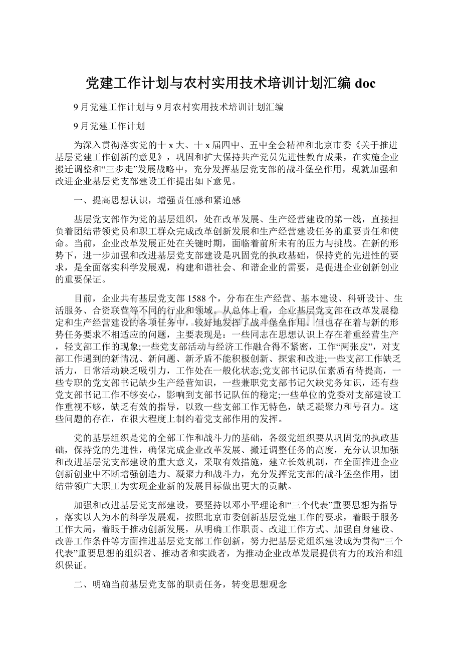 党建工作计划与农村实用技术培训计划汇编doc.docx