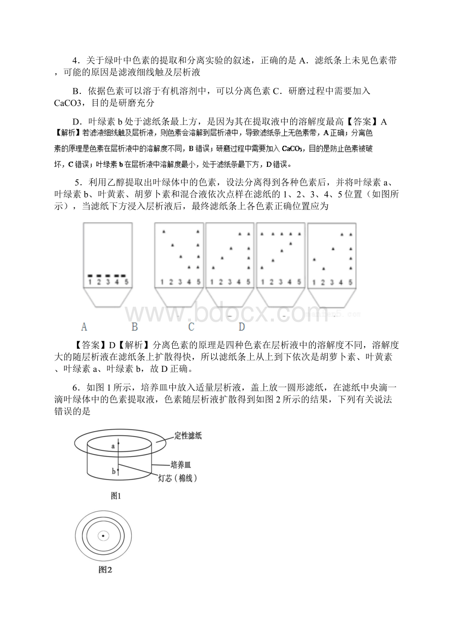 学年高中生物 周末培优 第16周 光合作用的原理和应用 新人教版文档格式.docx_第2页