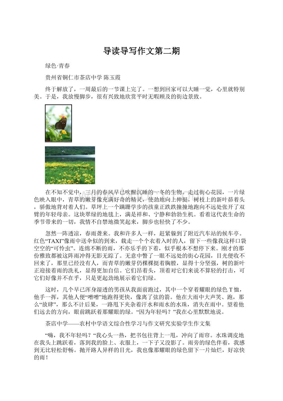 导读导写作文第二期Word文档下载推荐.docx