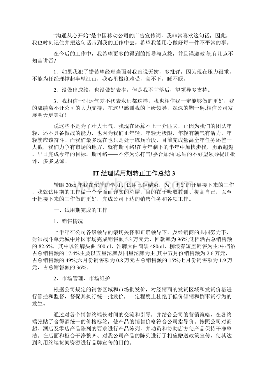 IT经理试用期转正工作总结Word文档格式.docx_第3页