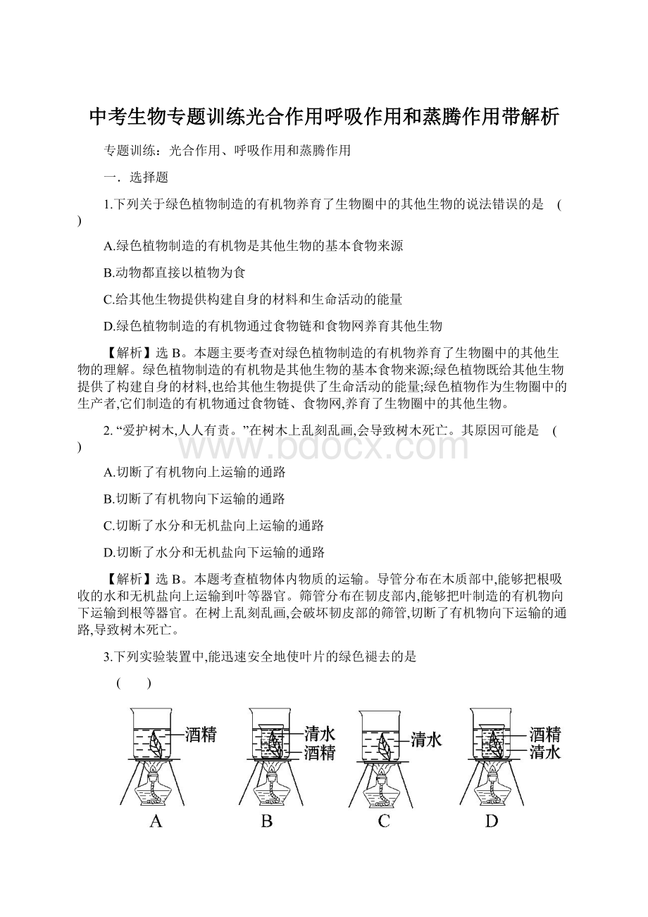 中考生物专题训练光合作用呼吸作用和蒸腾作用带解析Word文档格式.docx