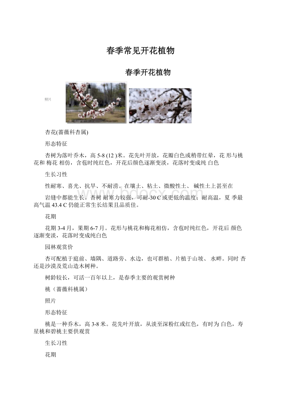 春季常见开花植物Word文档格式.docx_第1页