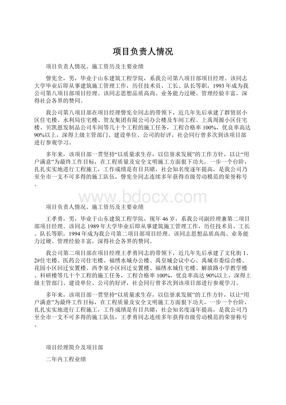 项目负责人情况Word下载.docx