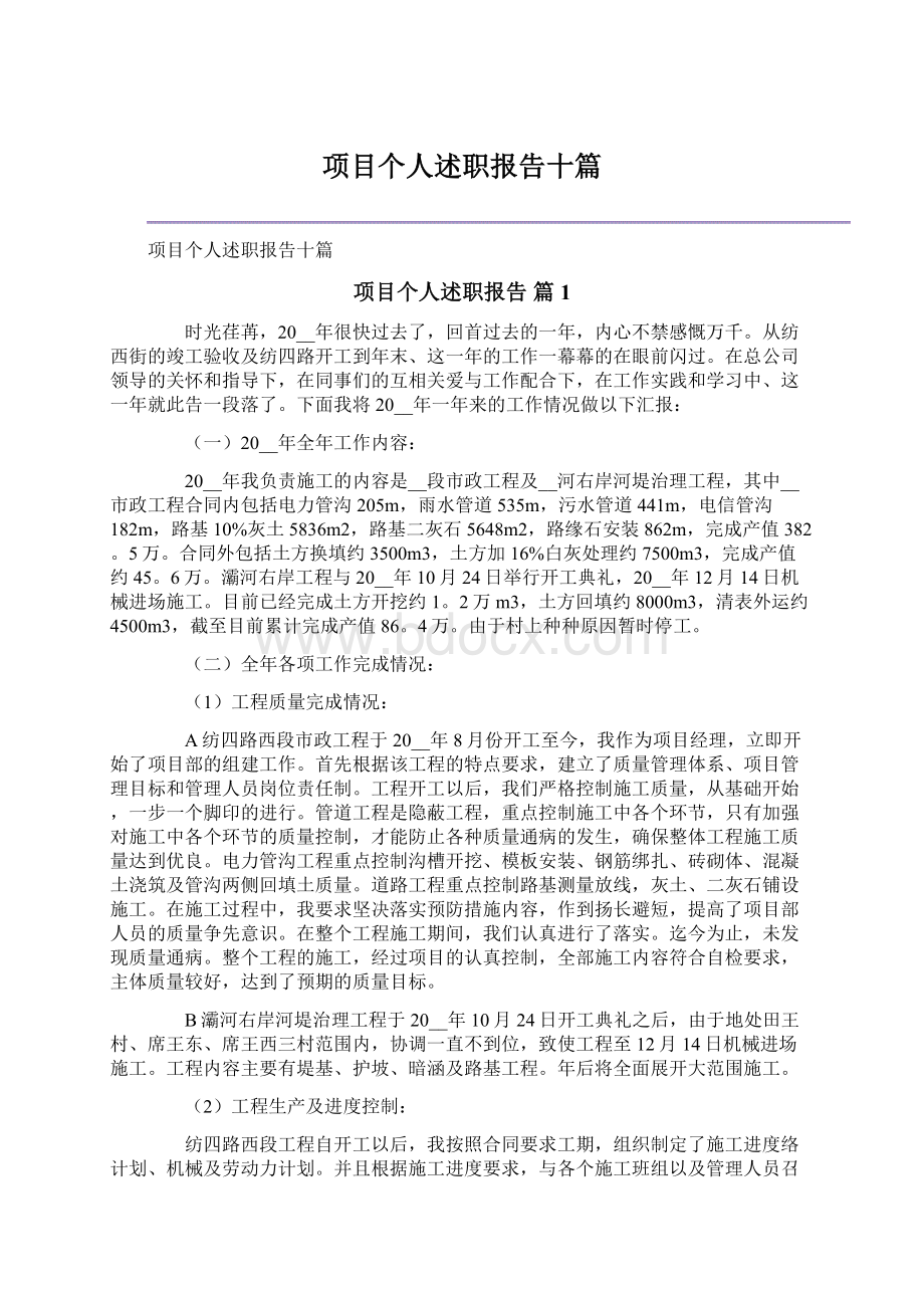 项目个人述职报告十篇.docx