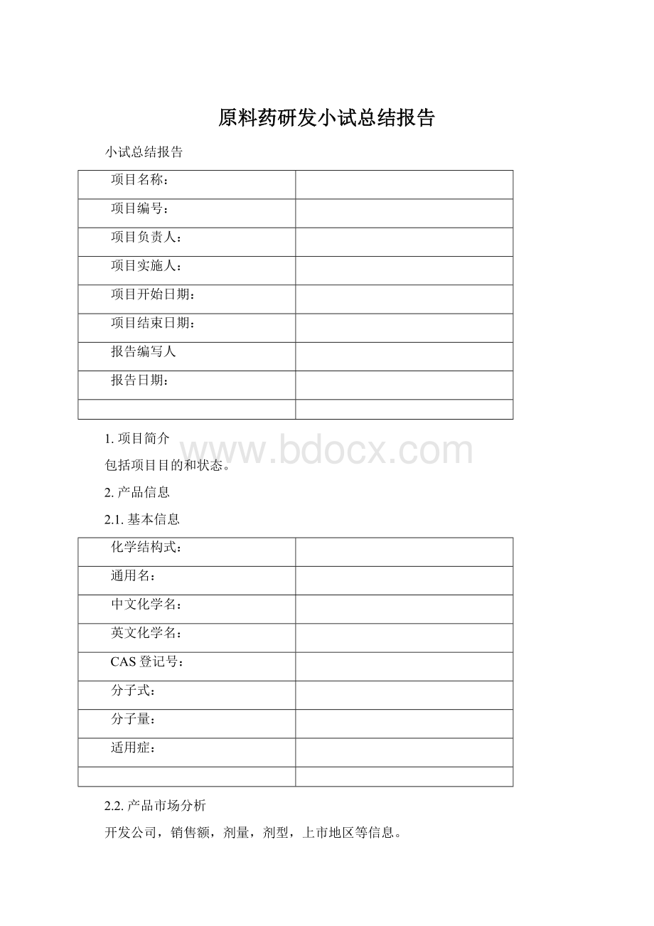 原料药研发小试总结报告Word文档格式.docx