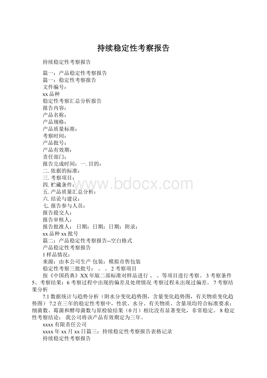 持续稳定性考察报告文档格式.docx_第1页