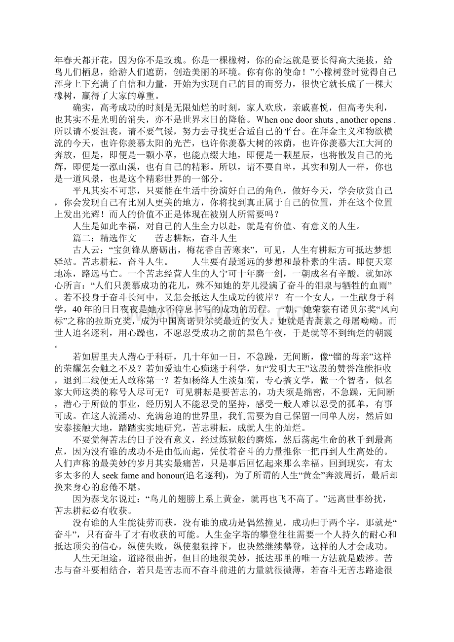 努力就好精选作文2篇.docx_第2页