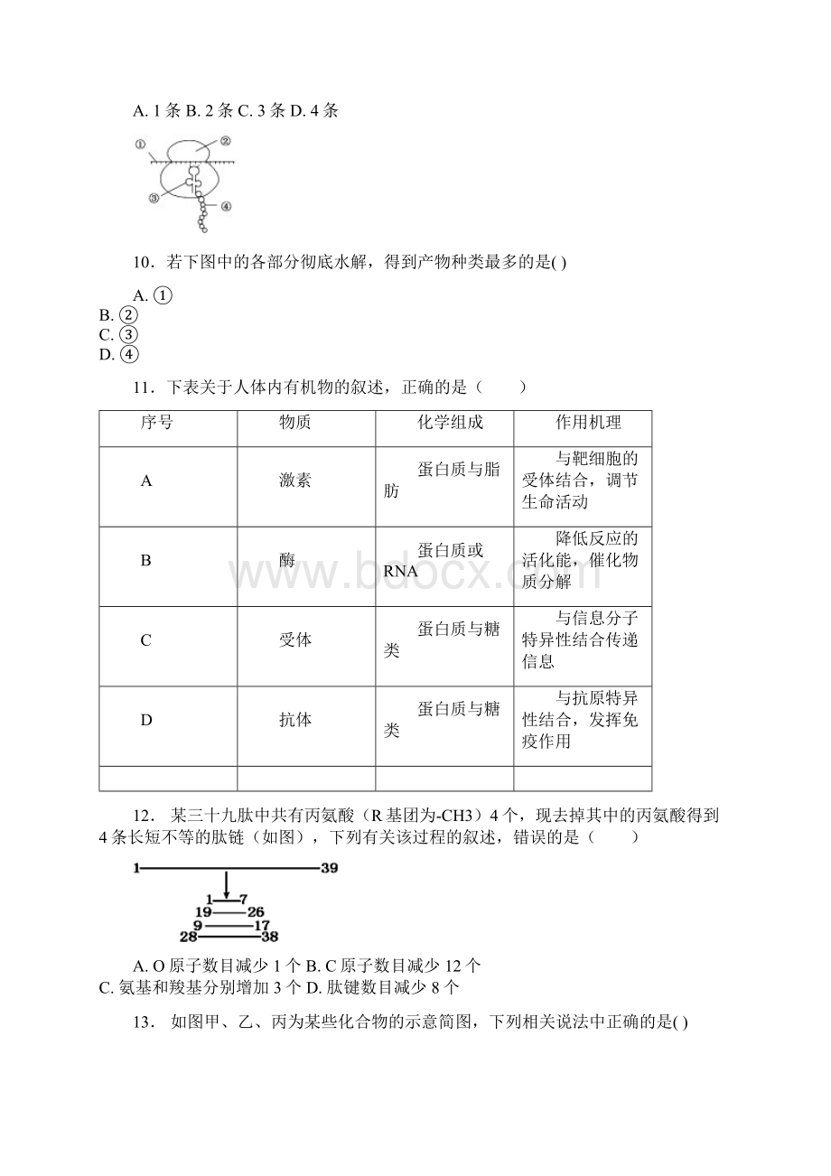 福建省福州市八县市协作校学年高二生物下学期期末联考试题含答案 师生通用文档格式.docx_第3页