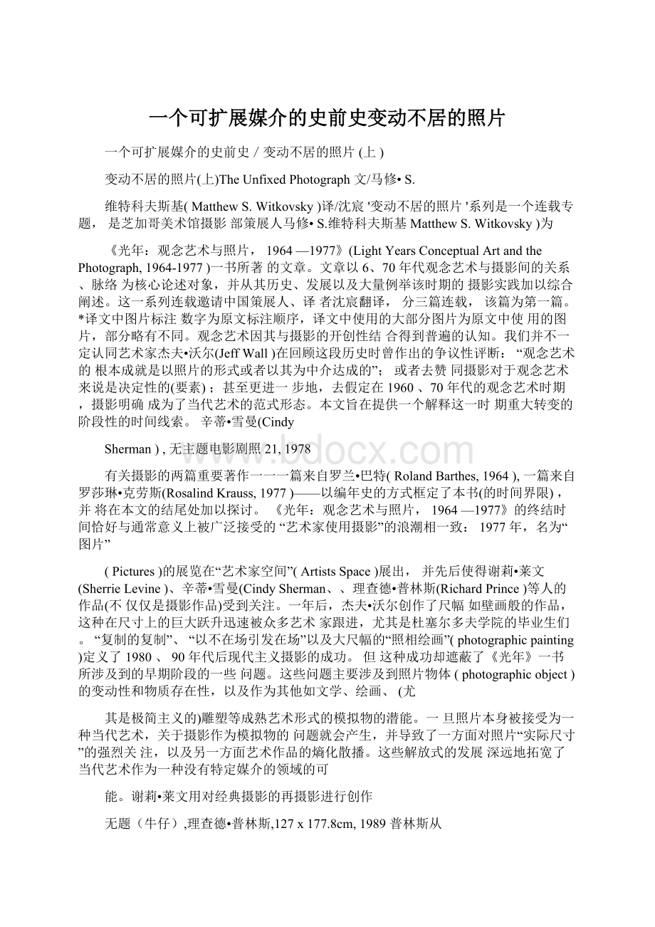 一个可扩展媒介的史前史变动不居的照片.docx_第1页