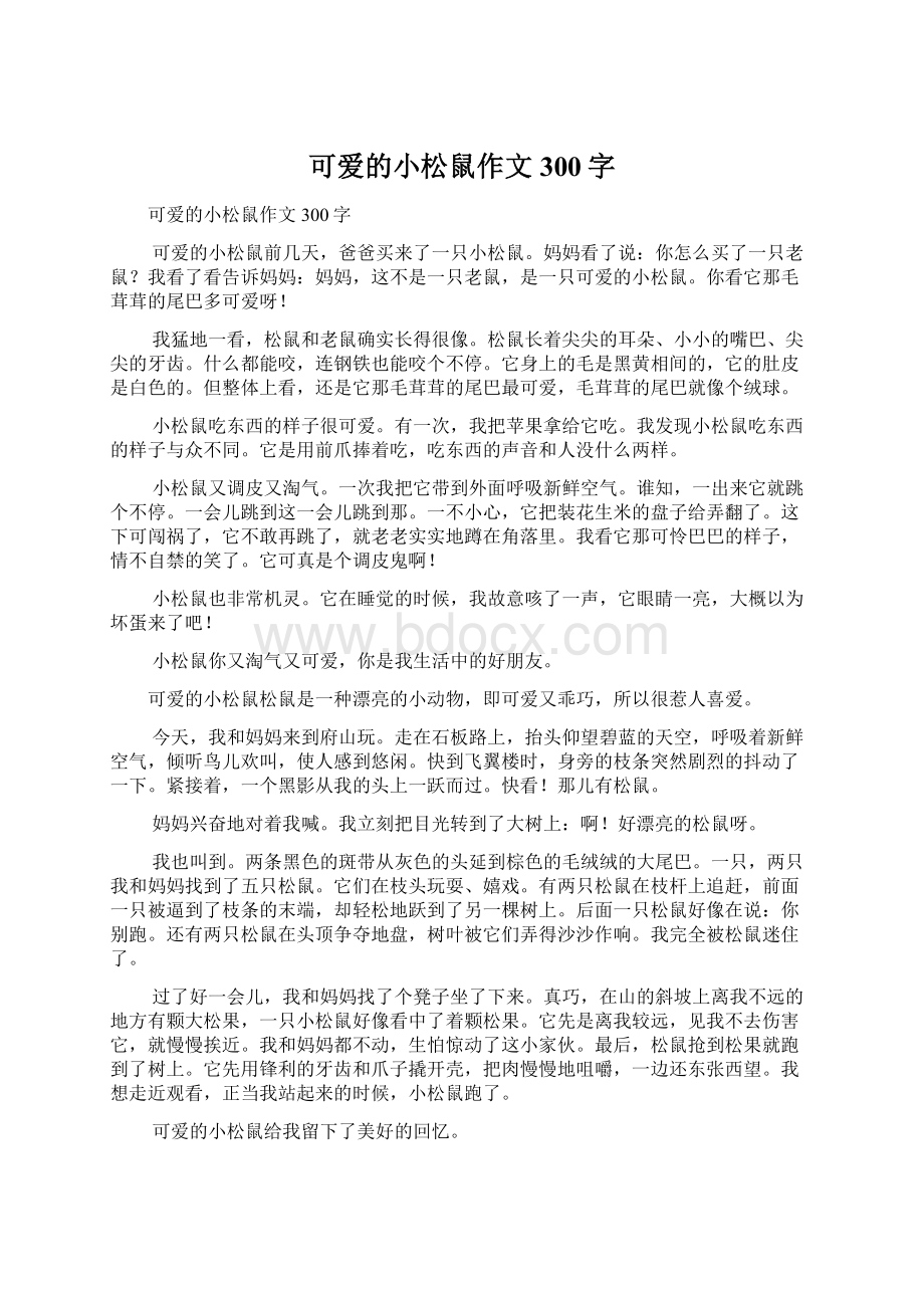 可爱的小松鼠作文300字.docx