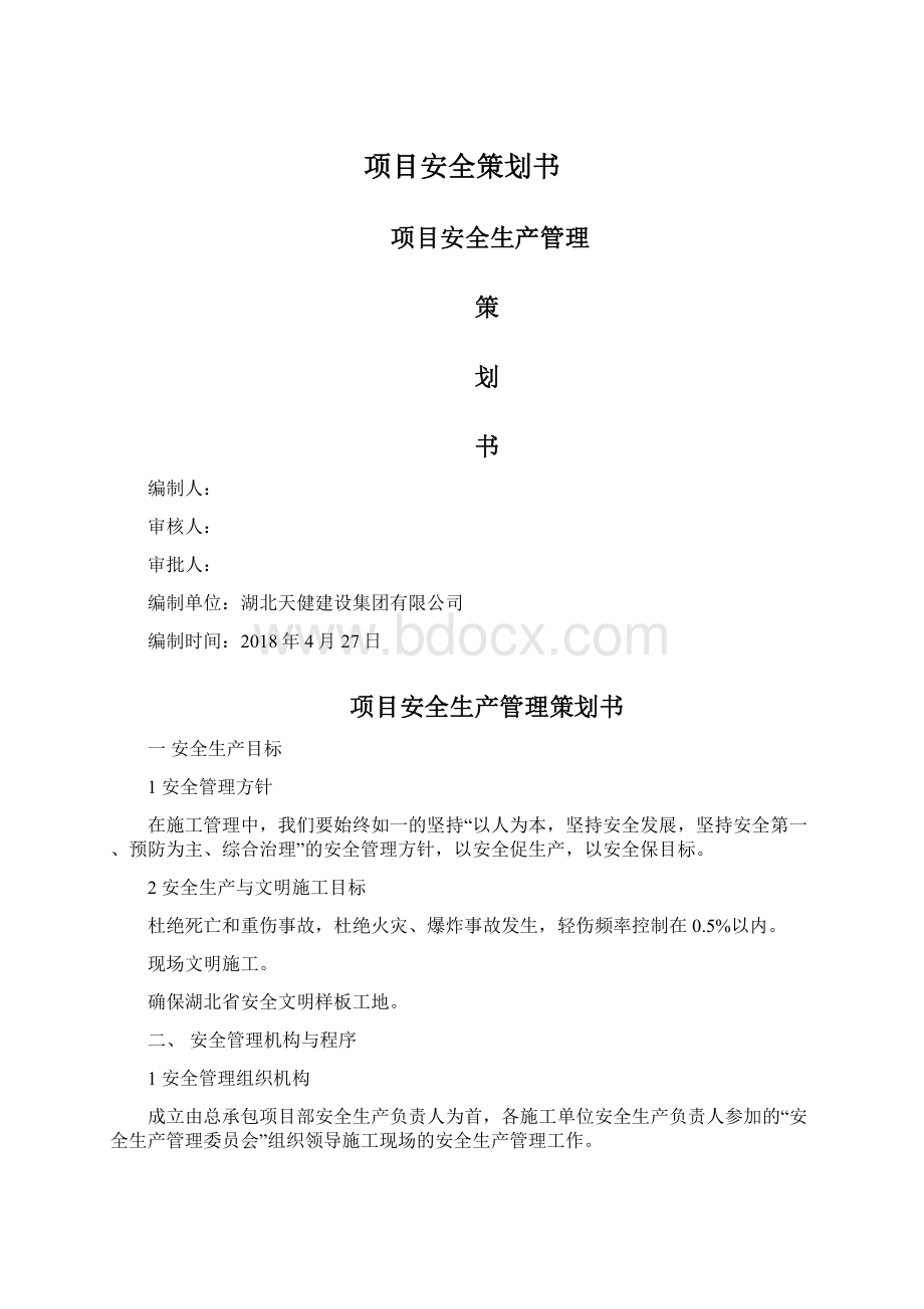 项目安全策划书文档格式.docx