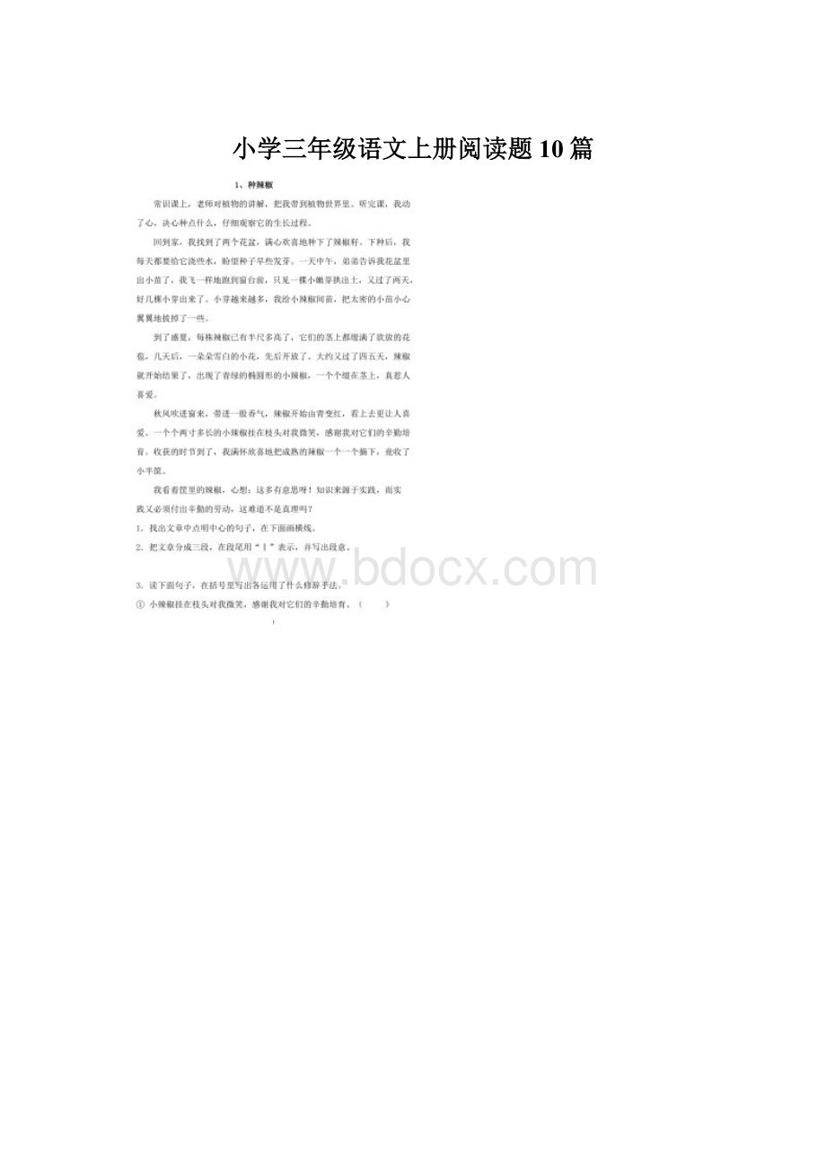 小学三年级语文上册阅读题10篇Word文档格式.docx_第1页