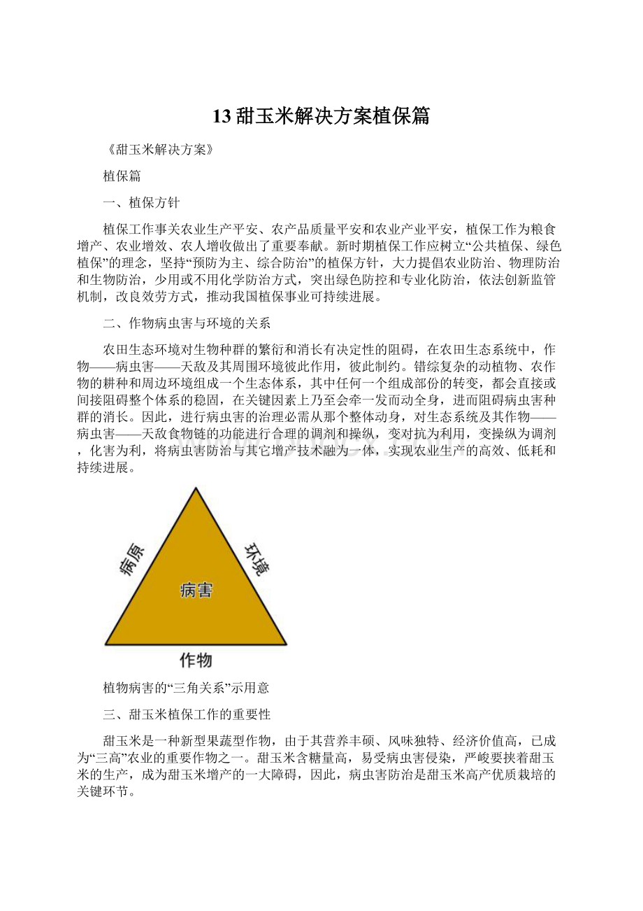 13甜玉米解决方案植保篇.docx_第1页