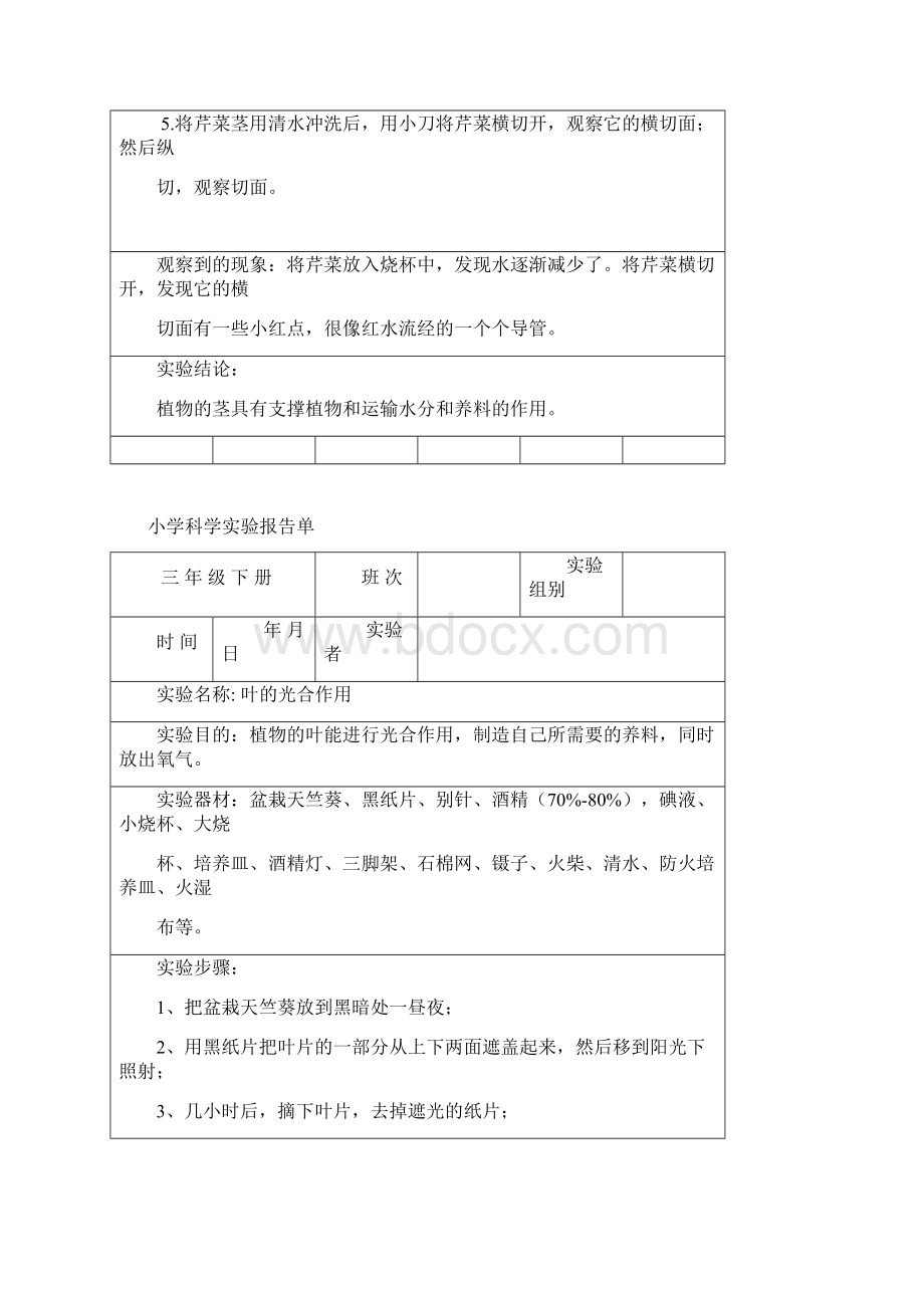 教科版小学三年级科学下册全册实验报告单.docx_第3页