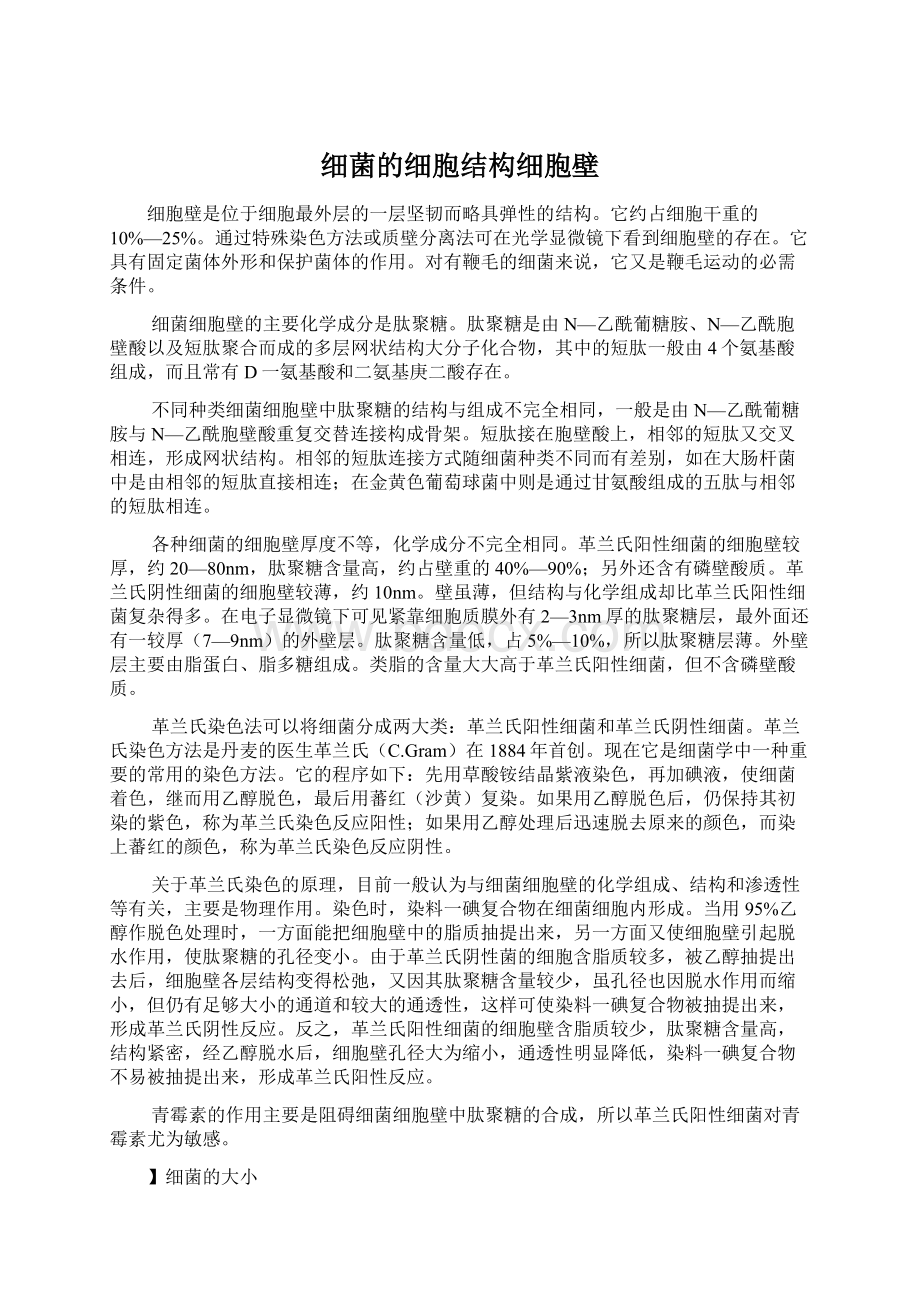 细菌的细胞结构细胞壁Word下载.docx