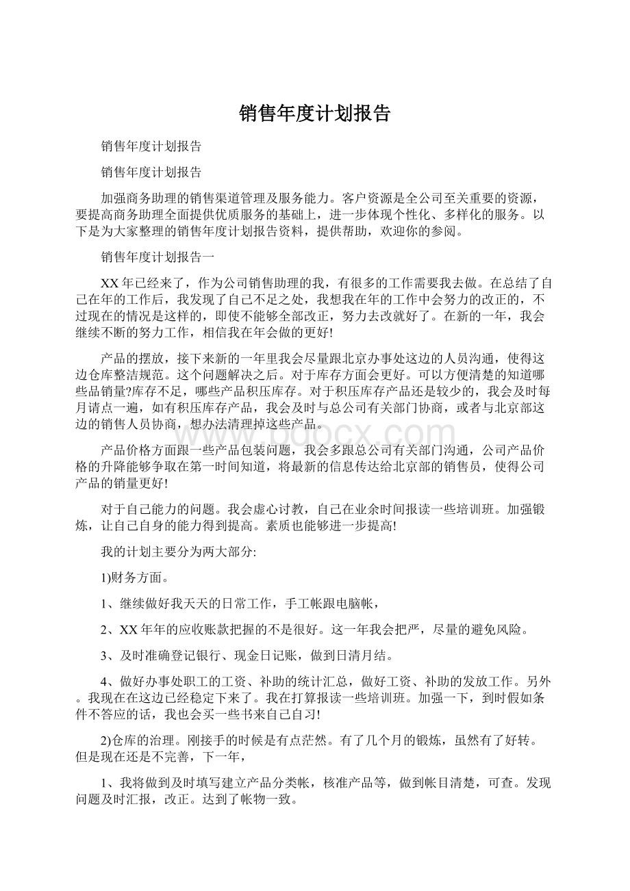 销售年度计划报告Word文档格式.docx_第1页