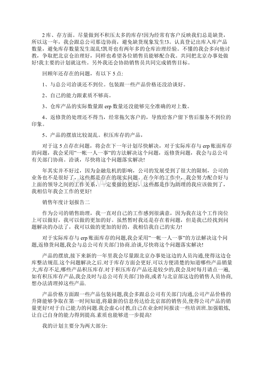 销售年度计划报告Word文档格式.docx_第2页