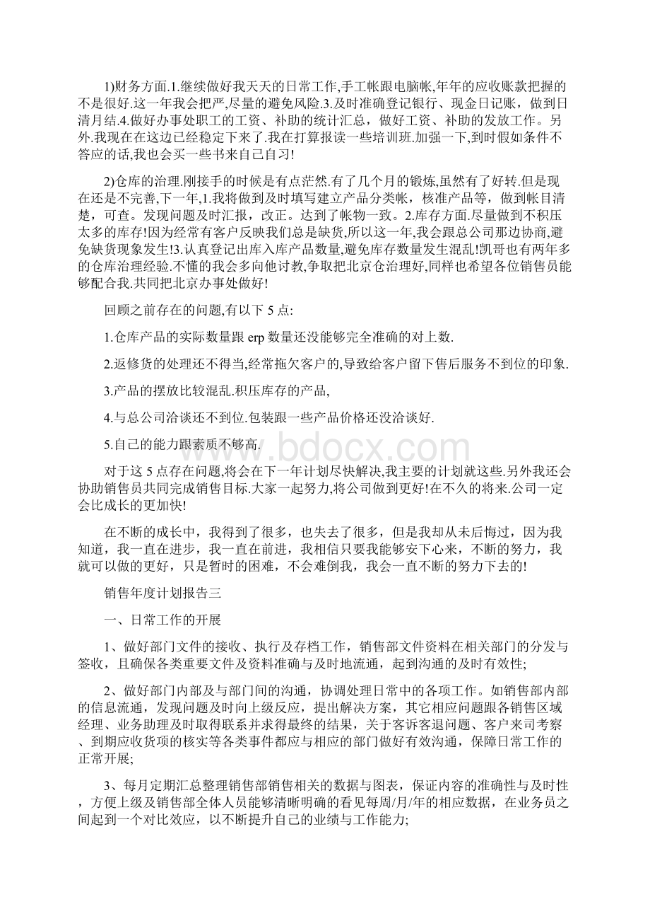 销售年度计划报告Word文档格式.docx_第3页