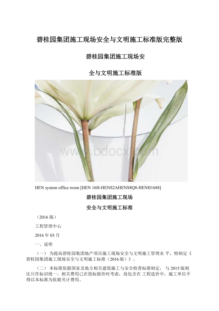 碧桂园集团施工现场安全与文明施工标准版完整版.docx_第1页