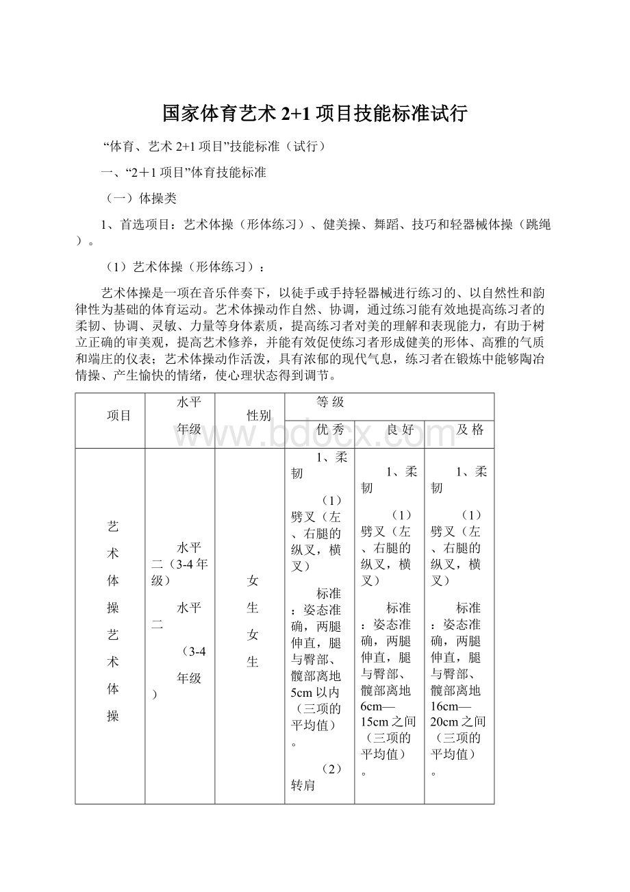 国家体育艺术2+1项目技能标准试行Word下载.docx