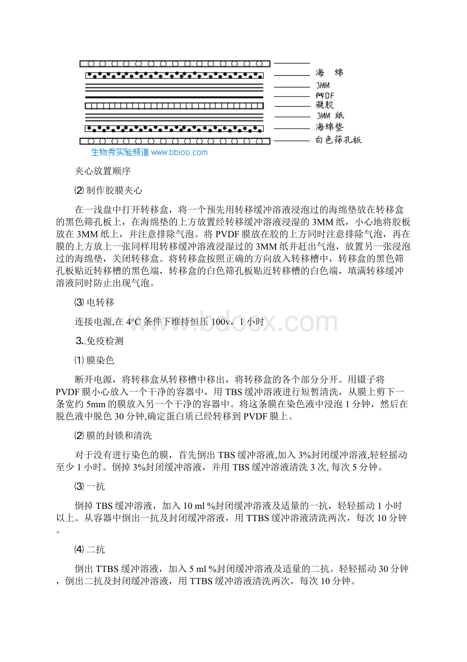 蛋白印迹分析Word下载.docx_第3页