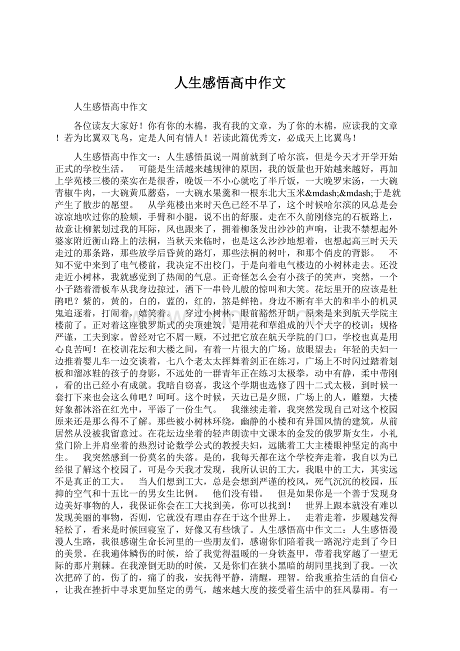 人生感悟高中作文Word文件下载.docx_第1页