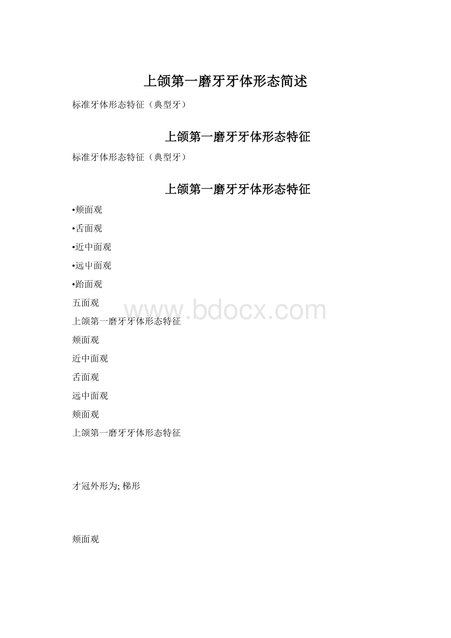 上颌第一磨牙牙体形态简述文档格式.docx_第1页