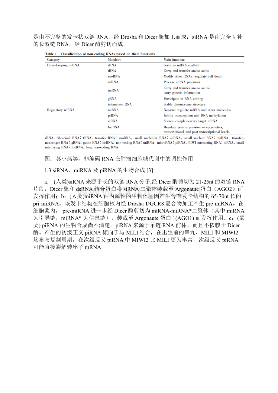 非编码RNA的分类及其功能总结.docx_第3页