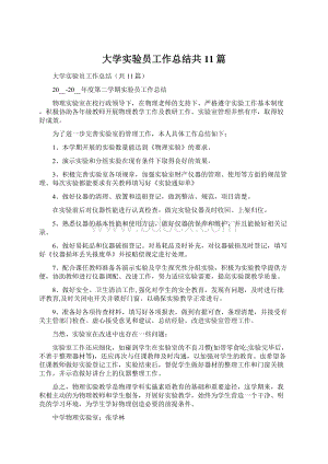 大学实验员工作总结共11篇Word下载.docx