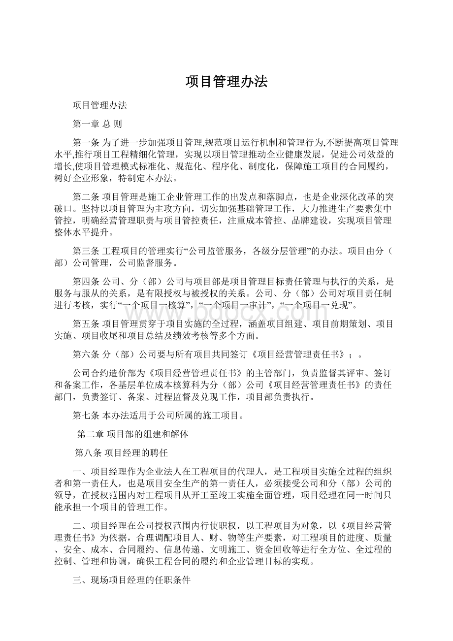 项目管理办法.docx