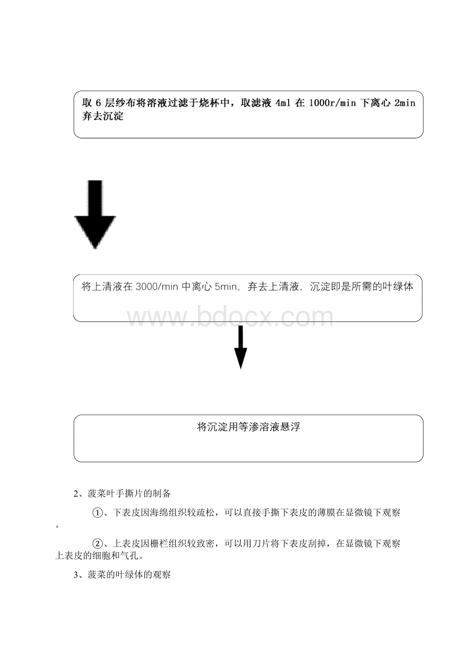 实验1叶绿体的分离与荧光分析.docx_第2页