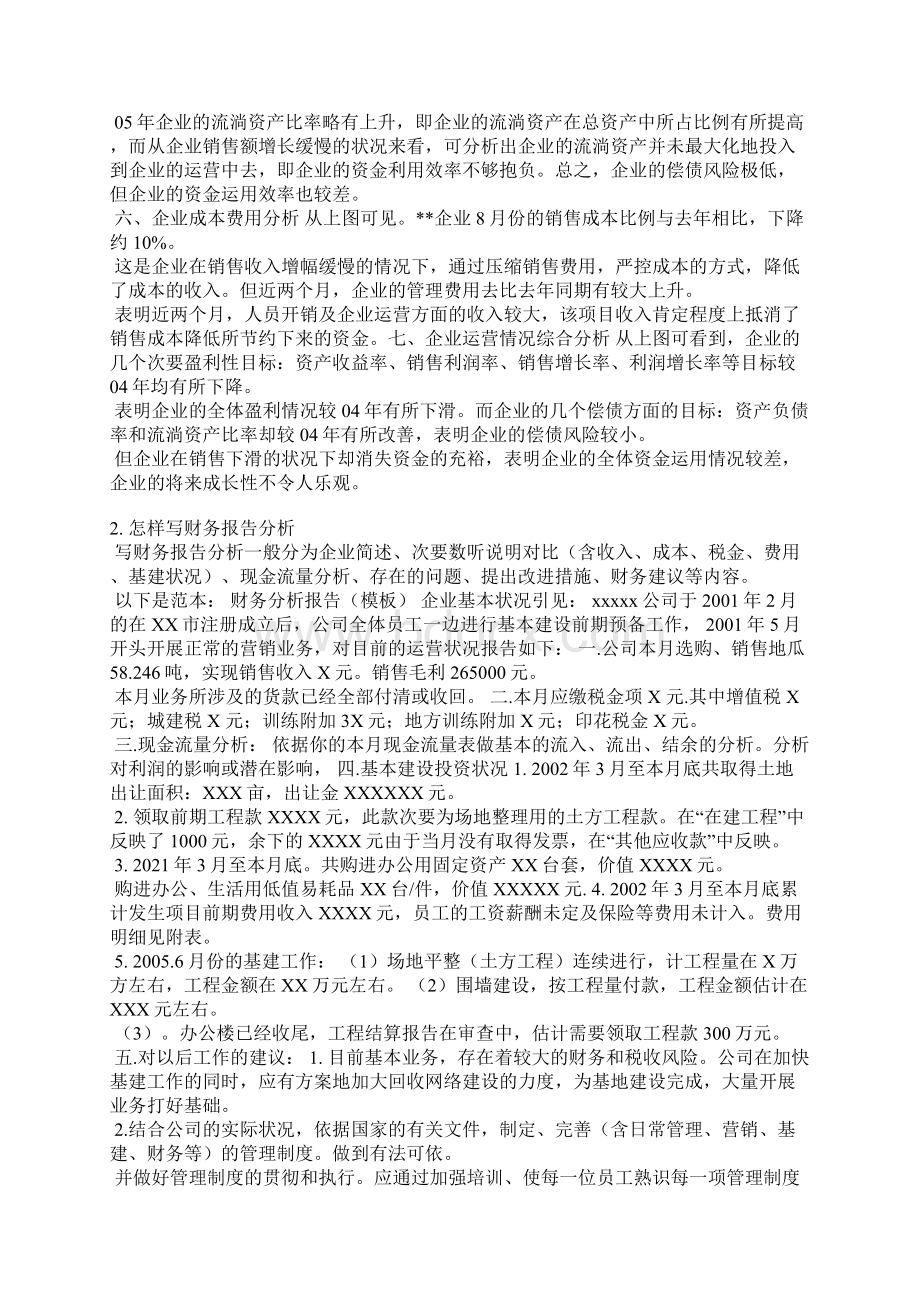 阿迪达斯财务报告分析范文.docx_第2页