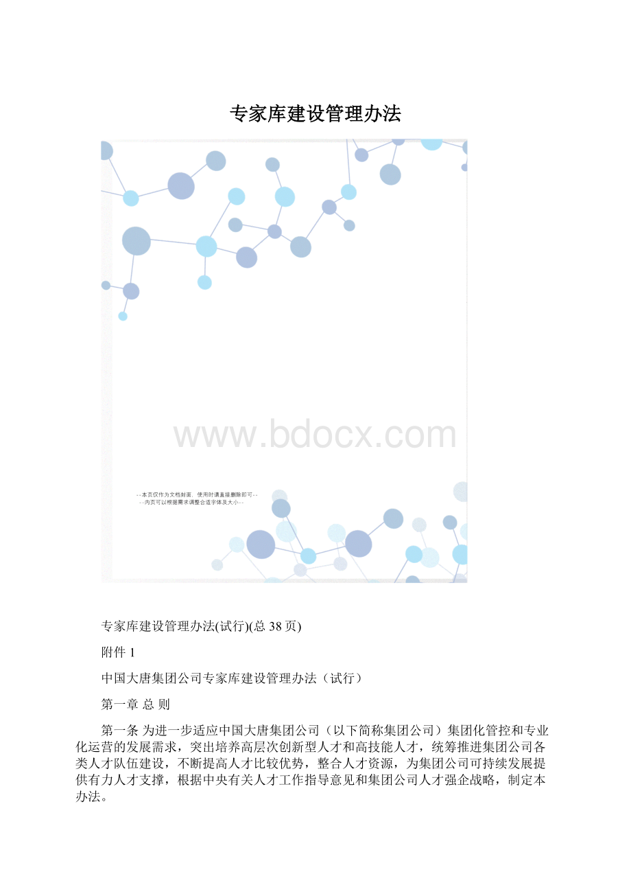 专家库建设管理办法Word文档格式.docx