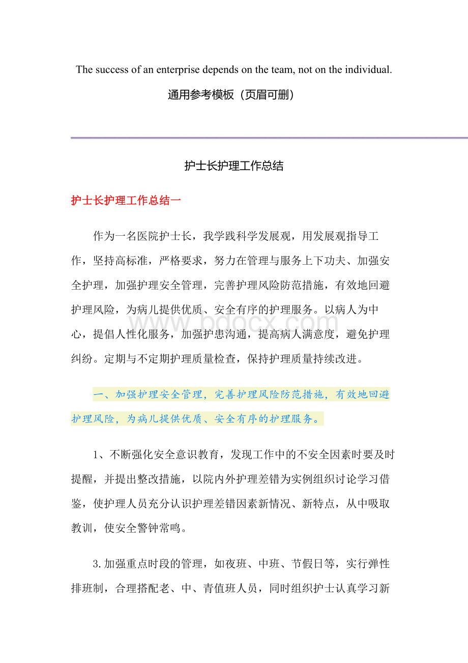 护士长护理工作总结文档格式.docx_第1页