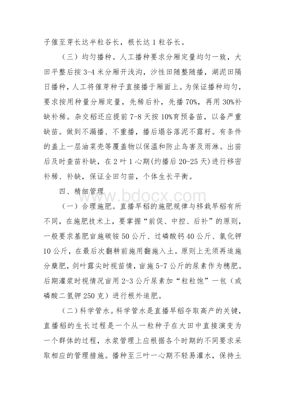 早稻直播技术要点Word格式.docx_第3页