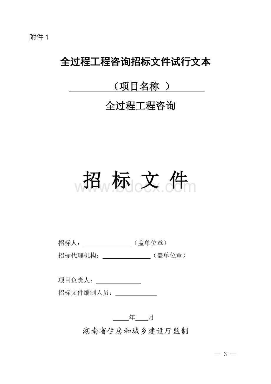 全过程工程咨询招标文件试行示范文本.doc_第1页