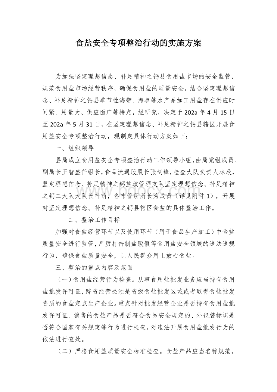 食盐安全专项整治行动的实施方案.docx