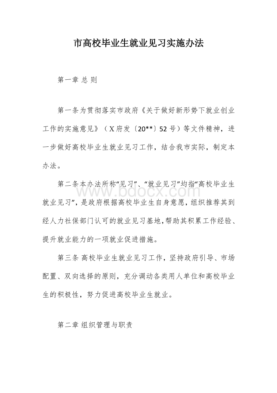 市高校毕业生就业见习实施办法.docx