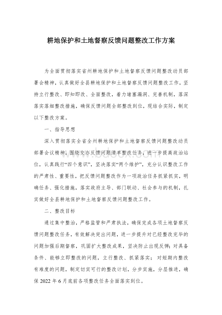 耕地保护和土地督察反馈问题整改工作方案.docx_第1页