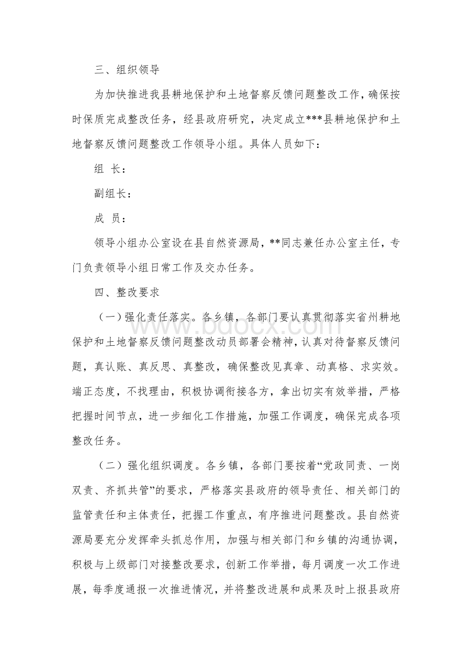 耕地保护和土地督察反馈问题整改工作方案.docx_第2页