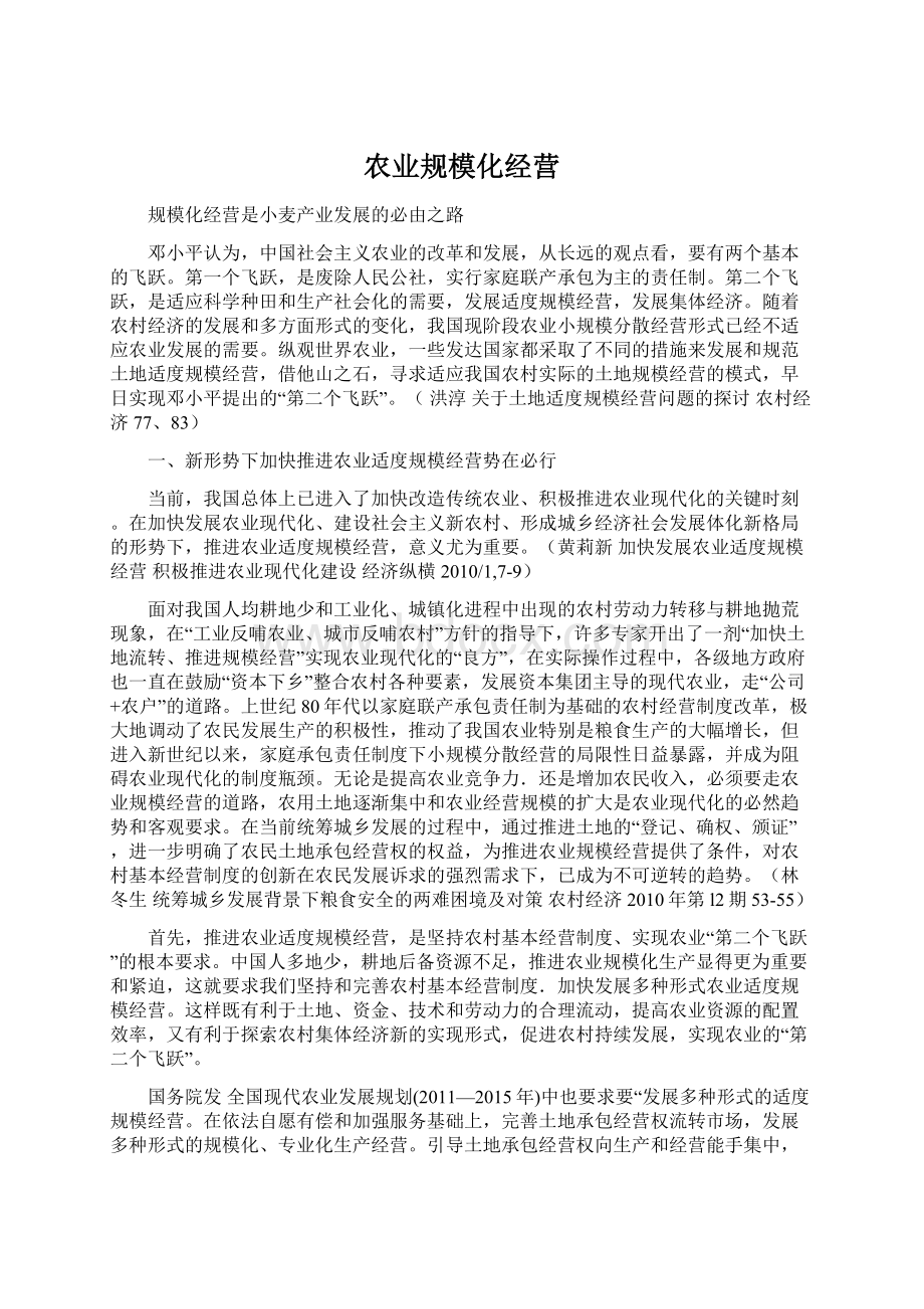 农业规模化经营Word格式文档下载.docx