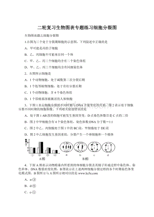 二轮复习生物图表专题练习细胞分裂图.docx